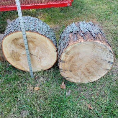 Logs.jpg