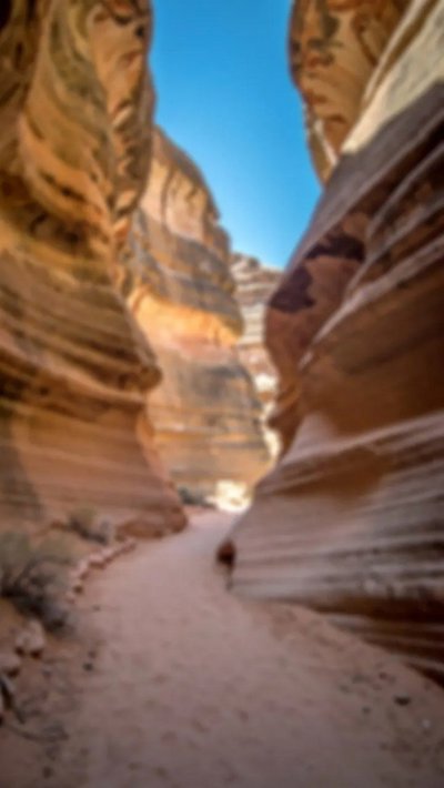 gorge-gulch.webp