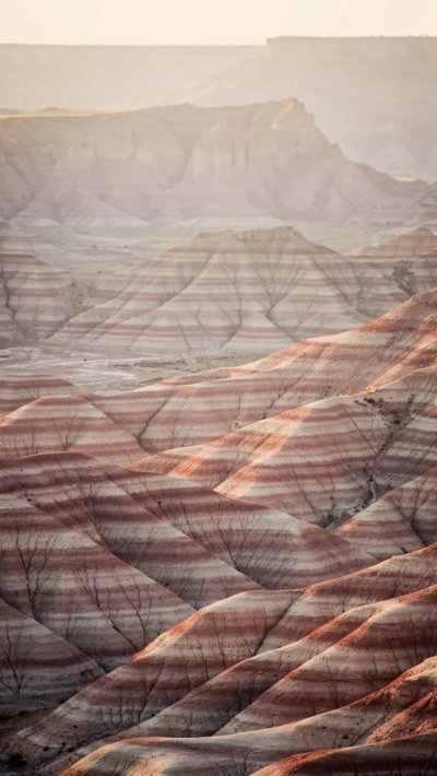 mesa-wall.webp