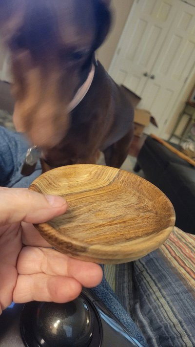Small Bowl (Tulip Tree).jpg